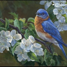 Bluebird and Blossoms
