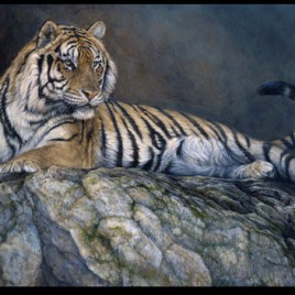 “On The Rocks”