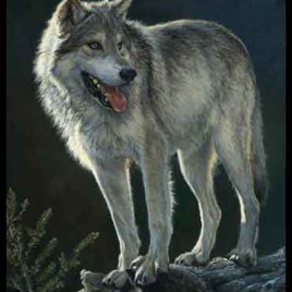 Hunters Moon