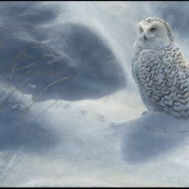 Winter Sonata