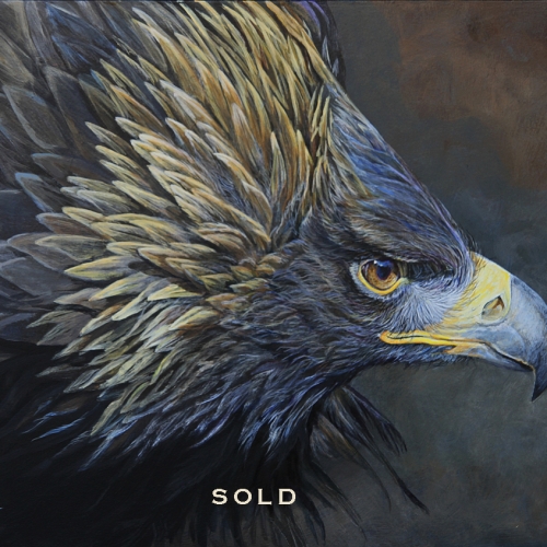 alpha-5-2014-sold