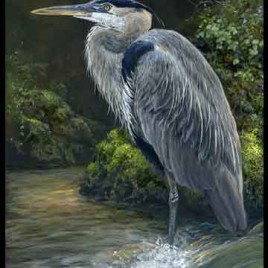 Fishing Creek Blues