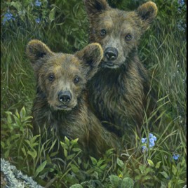 Teddy Bears Picnic