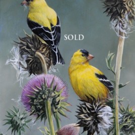 Gold Finches and Thistle on English