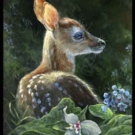 Spring Awakening