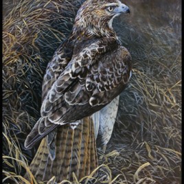 Young Hunter