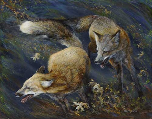 fox-frantic