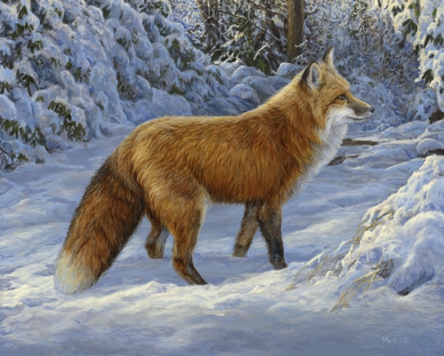 fox in snow-paper