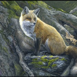 Ethereal Moss And Red Fox