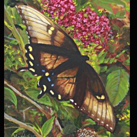 Swallow Tail and Butterfly Bush