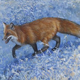 A Frosty Morning Fox
