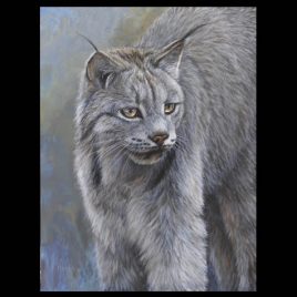 Pearl Of The North Lynx