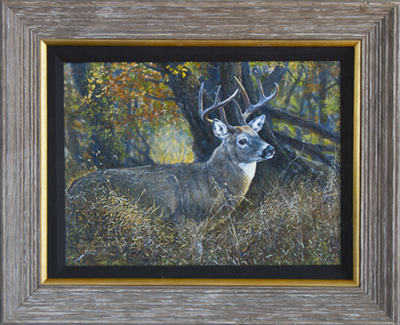 deer-feamed-sm