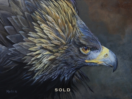 alpha-5-2014-sold