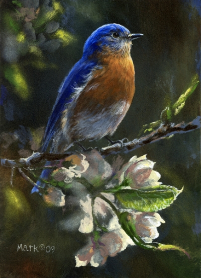 bluebird3