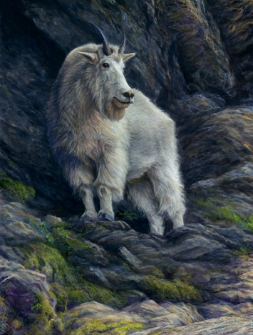 highlander-2