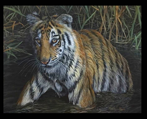 tiger-youngwader-2016-prim