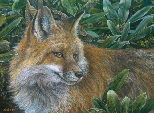 fox-closeencounter