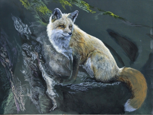 fox_spring2015A