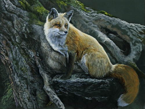 fox_spring2015-week2-blog