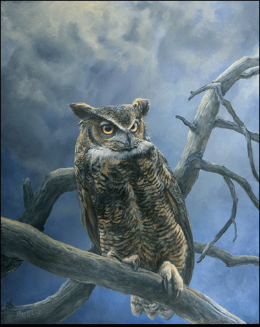 owl-supermoon-prime