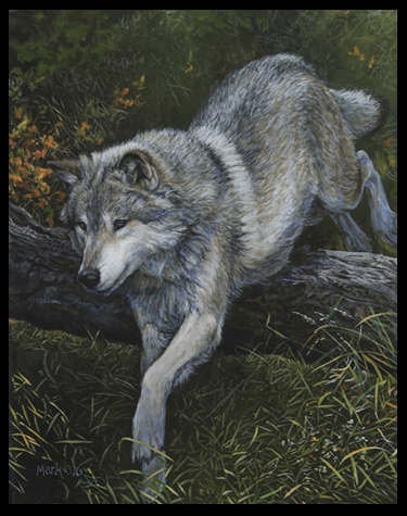 wolf-log2015-prime