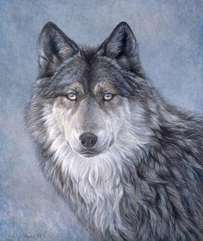 wolf prints Archives - Laura Mark-Finberg