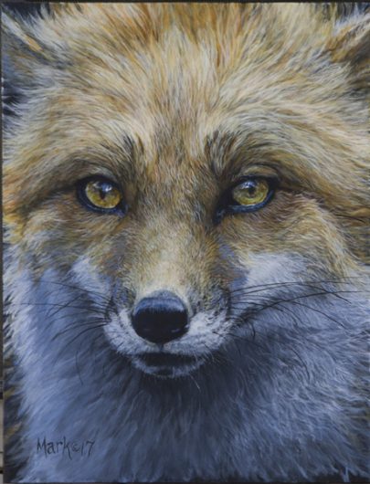 Home-Wildlife Artist Laura Mark-Finberg