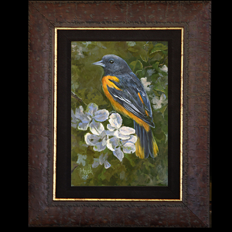 oriole-framed-primeG