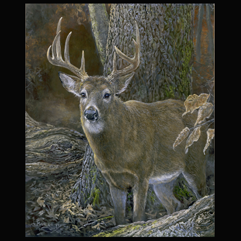 DEER_RMEF_TEMP-5-2024_prime